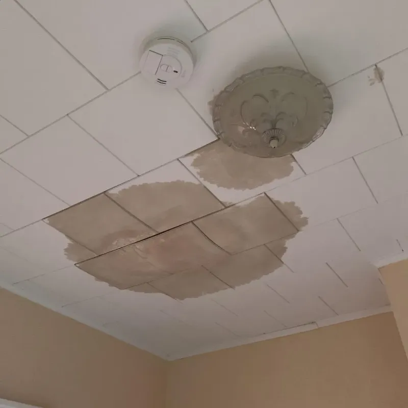 Ceiling Water Damage Repair in Logan County, CO